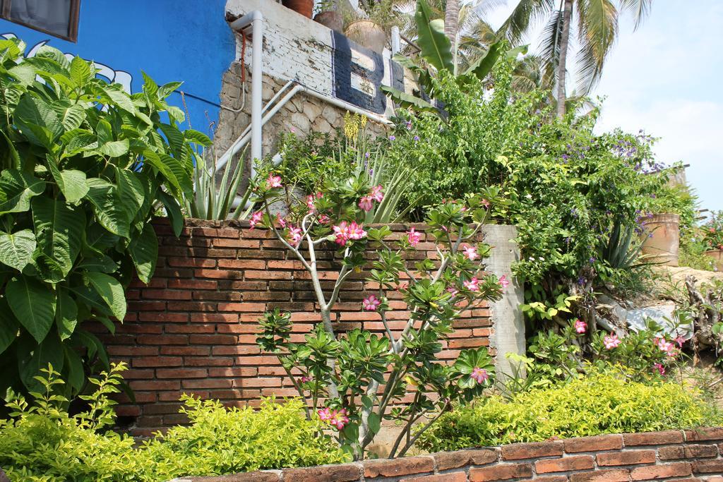 Hotel Buena Vista ปูแอร์โตเอสกอนดิโด ภายนอก รูปภาพ